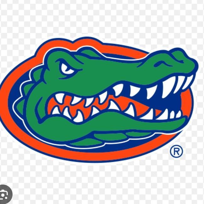 #8 Florida