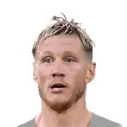 Wout Weghorst