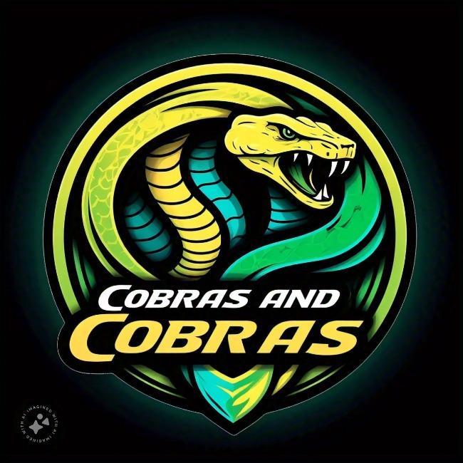 FUTSAL COBRAS 2025