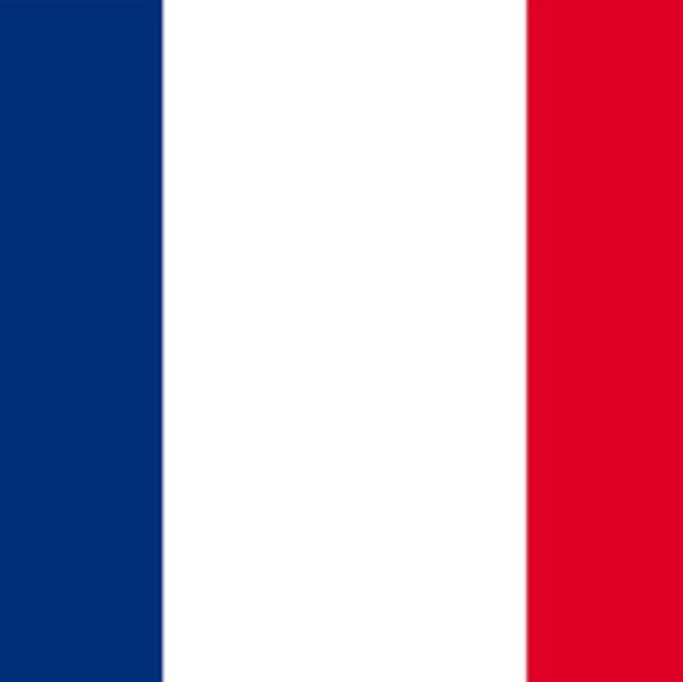 J. Pogba [França]