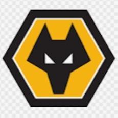 WOLVERHAMPTON - Fábio