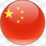 🇨🇳 Paulo Ferreira
