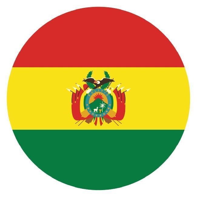 🇧🇴 Gonçalo Bile