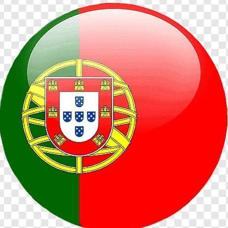 🇵🇹 Sonaldo Fake