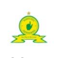 Mamelodi Sundowns