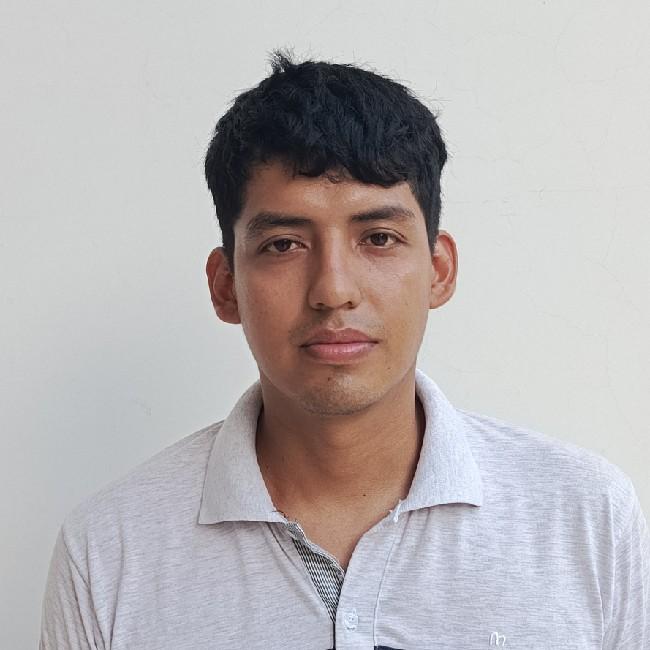 Enzo Verde Ramo Masai