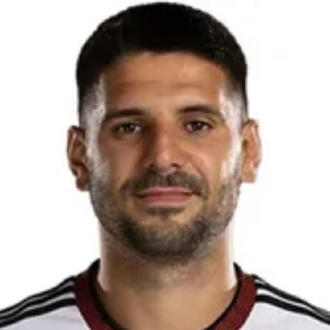 Aleksandr Mitrovic