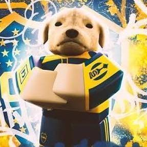Cachorrao