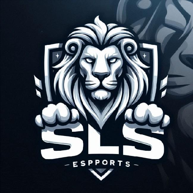 SOUL SOCIETY ESPORTS