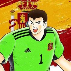 Callusias