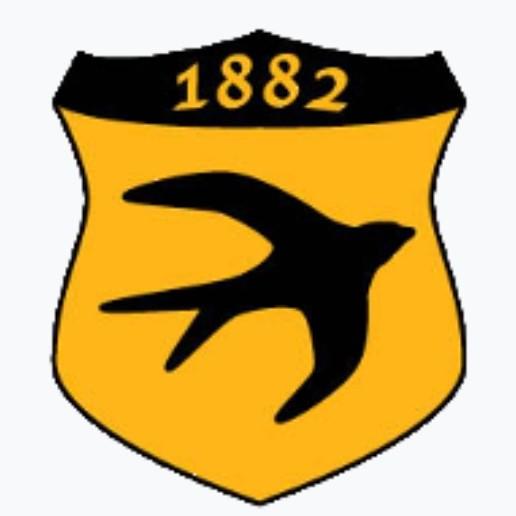 Stourport Swifts