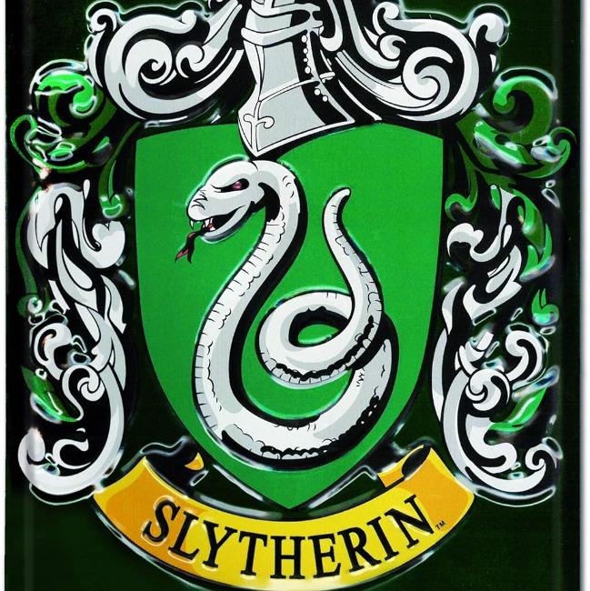 Salazar Serpentard Foot