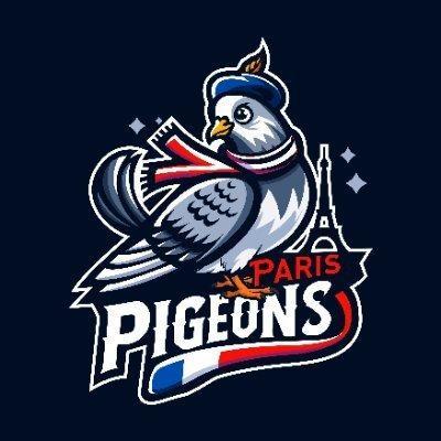 Paris Pigeons