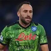 David Ospina