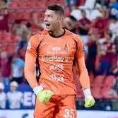Neto Volpi