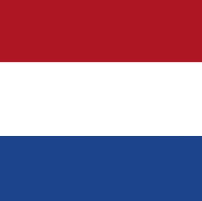Everton Jbara (Holanda)
