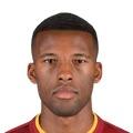 Wijnaldum G.