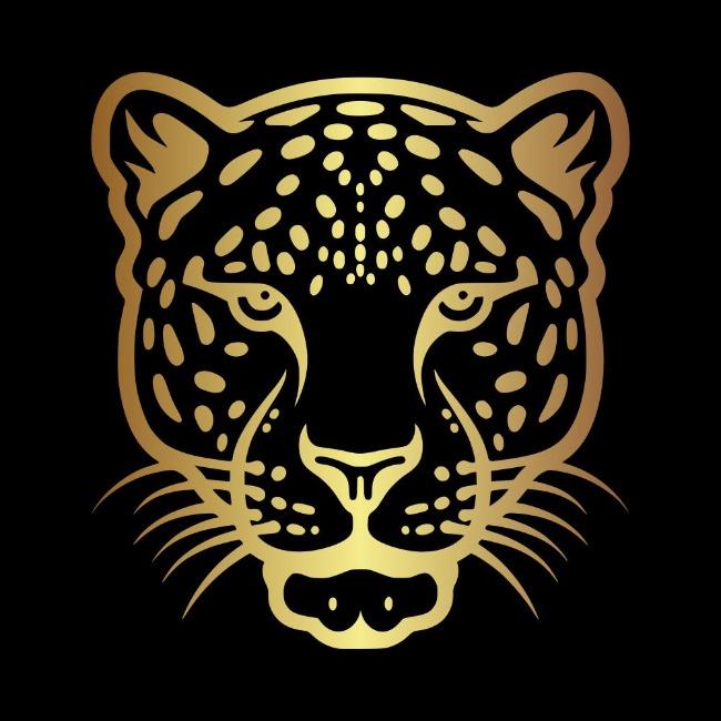 Jaguares 189