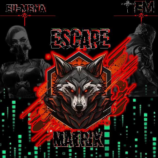 Escape matrix