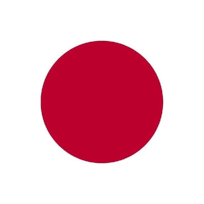 🇯🇵 Marcelo