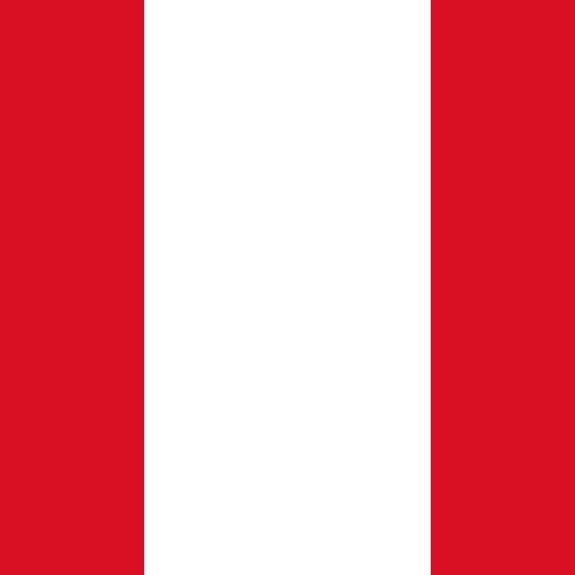 🇵🇪 Arthur