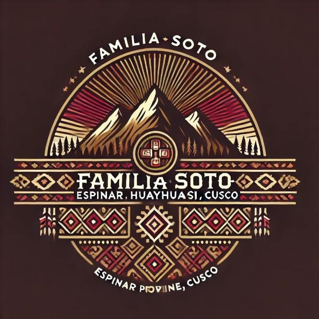 Vóleibol Familia Soto