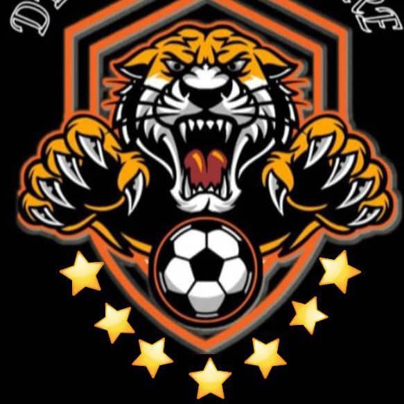 Dvo El Tigre
