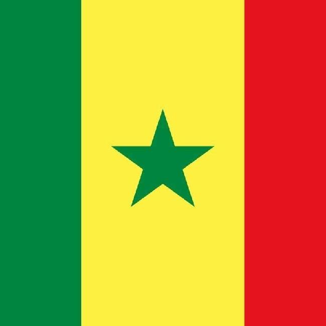 🇸🇳 Galdino