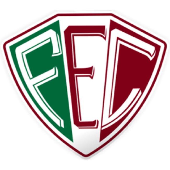 FLUMINENSE PI