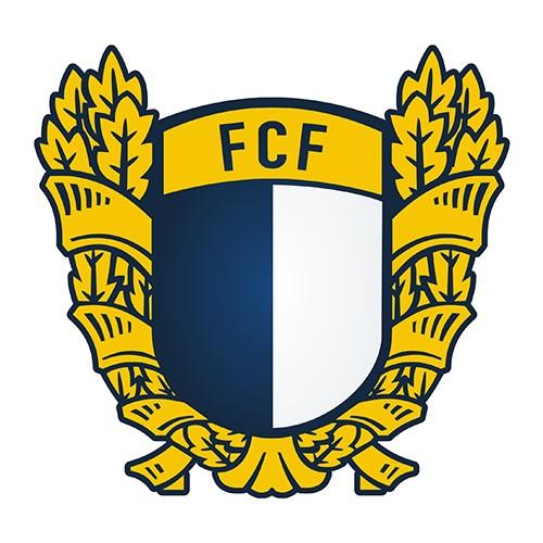 Futebol Clube de Famalicão