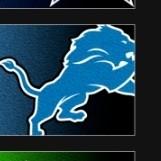 Detroit Lions. NFC NORTH