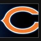 Chicago Bears. NFC NORTH