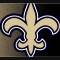 New Orleans Saints. NFC SOUTH
