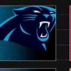 Carolina Panthers. NFC SOUTH