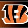 Cincinnati Bengels. AFC NORTH