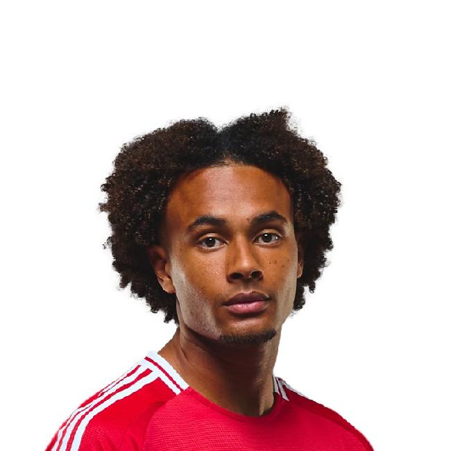 Zirkzee