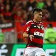 Luis Araújo