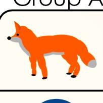 Foxes