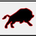 Black Bison