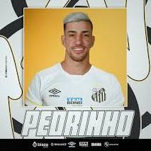 Pedrinho