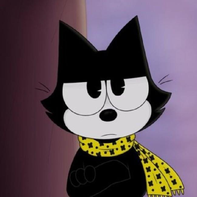 Gato felix