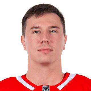 Дмитрий Вишневский