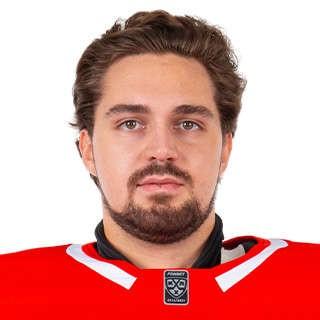 Дмитрий Николаев