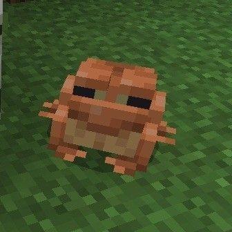 Sapo do problems