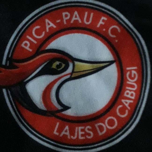 Pica-Pau