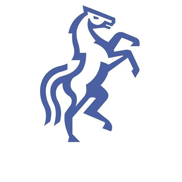 F.C Politehnica Iași