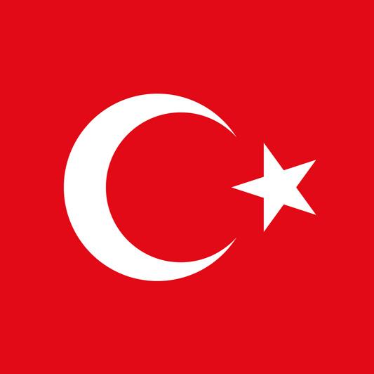 ERKIN KARAOKCU (CZECH)