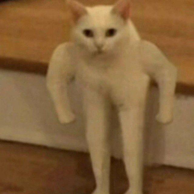 ЛФК vs ЛФК 2 FMT