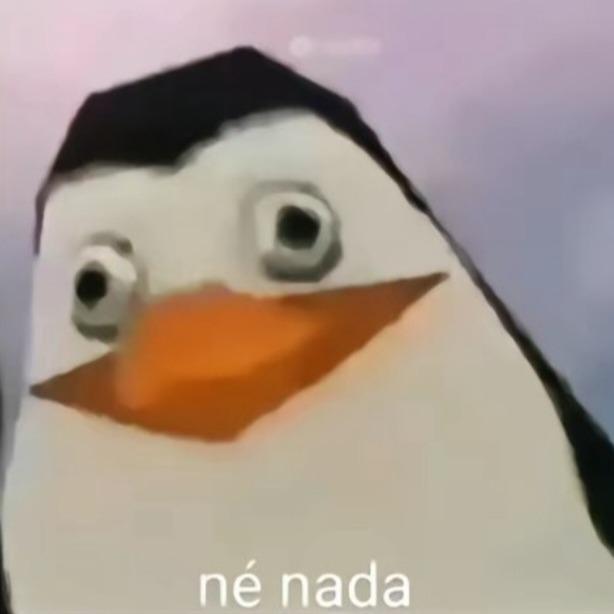 Pinguim né nada