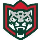 Ak-Bars Kazan